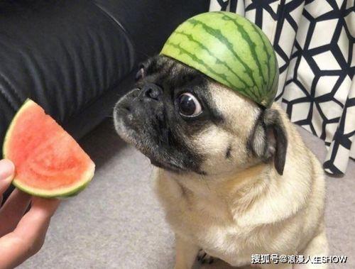 吃瓜小号,吃瓜小号带你领略幕后风云