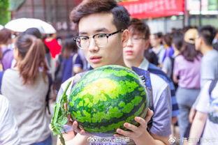 校园吃瓜,揭秘校园里的那些“瓜”