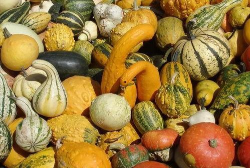 坐月子吃瓜,适量吃瓜助力产后恢复